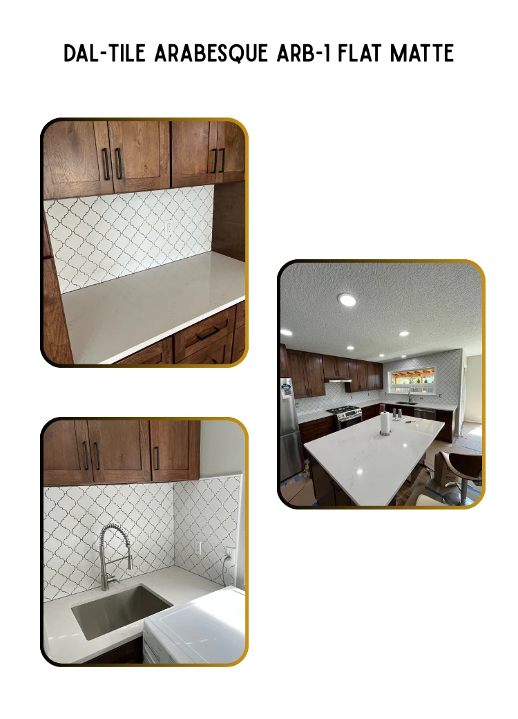 Dal-Tile ARABESQUE ARB-1 FLAT MATTE installation