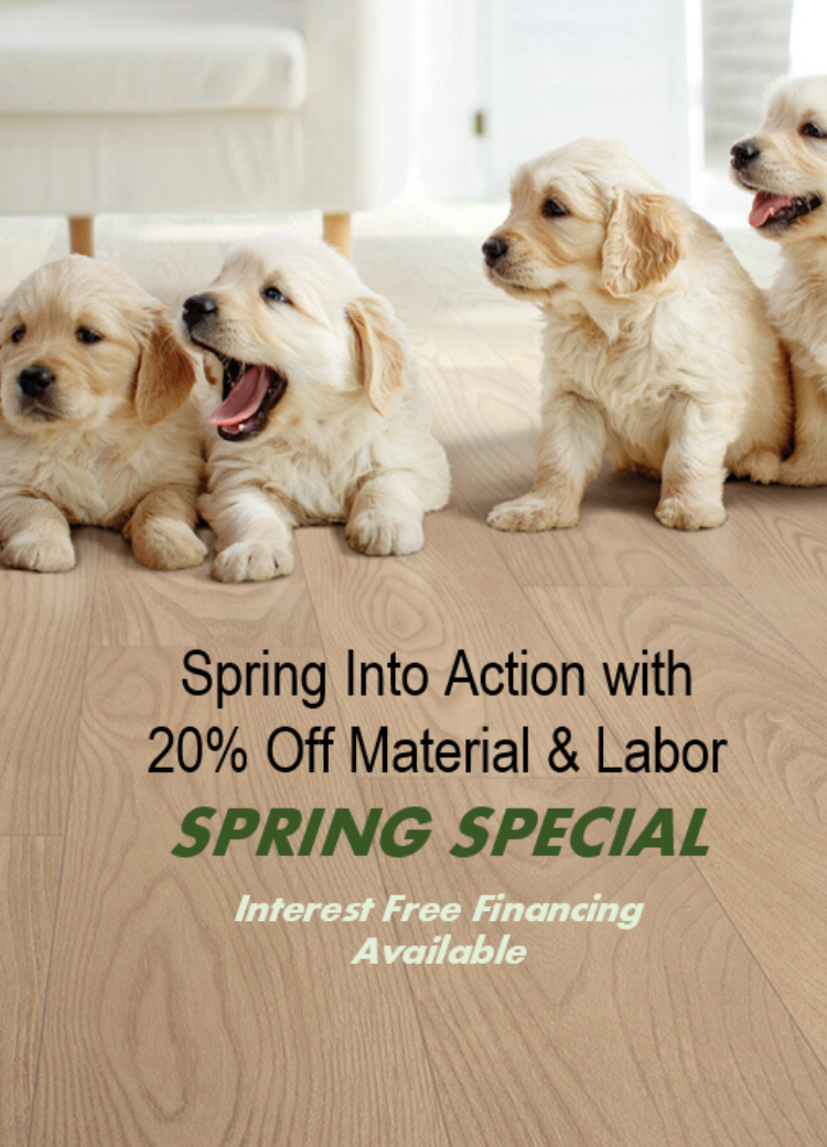 Golden Retriever Puppies on Hardwood Floor - Spring Special of 20% off material and labor. Interest Free Financing is Available
