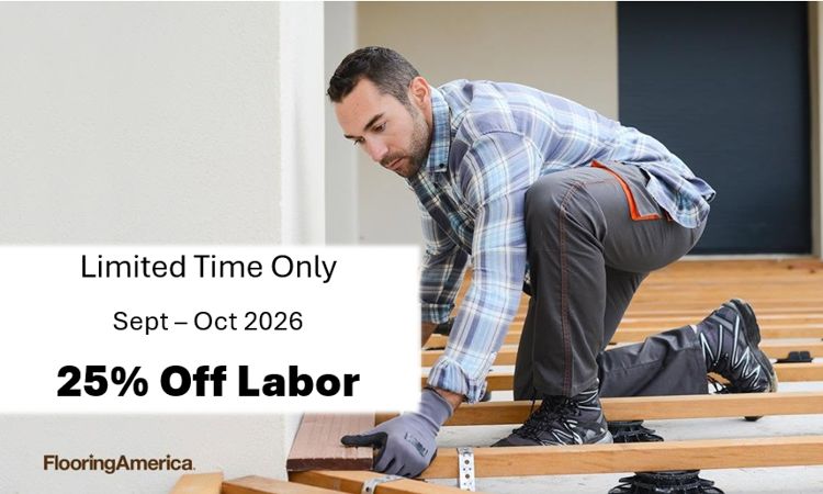 25% off labor sale