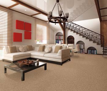 Carpet Flooring Hillsboro